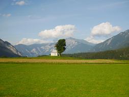 white building and lonely tree on an alpine meadow in Switzerland