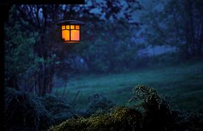 Twilight Replacement Lamp