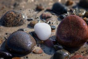 Close-up of the colorful and beautiful, wet stones on the beach of the North Sea in Denmark