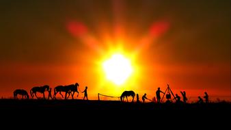 sunset farmer animals