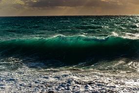incredible Wave Spectacular