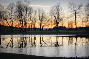 incredible Pond Mirroring