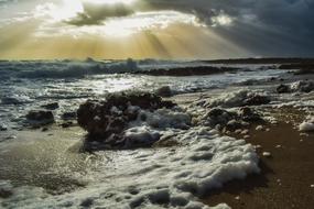 beautiful Cappuccino Coast Natural, ayia napa, cyprus