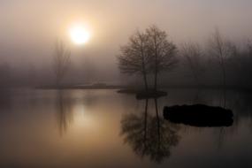 enchanting Dawn Sunset