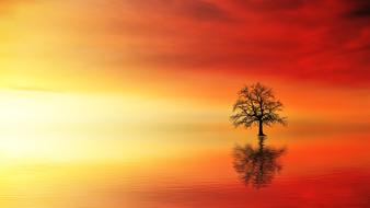 Beautiful waterscape with the tree, among the water with ripple, at colorful sunset