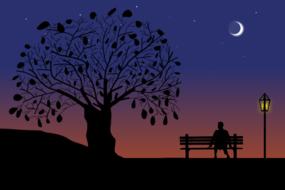 Silhouettes of the beautiful tree, near the person, sitting on the bench, near the glowing lantern, at beautiful and colorful, gradient sunset, with the Moon