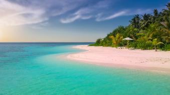 beautiful Beach Paradise Island Palm