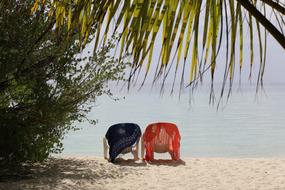 beautiful beach in Embudu in Maldives