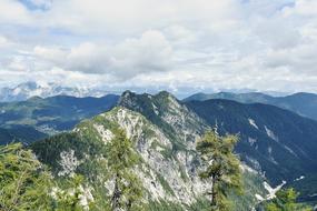 photo of evergreens on the slopes of the mountains