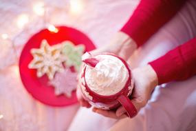 closeup view of Christmas drink of Hot Chocolate in mug in female hands