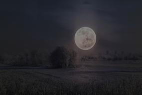 Landscape of Full Moon Winter