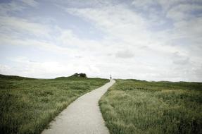person walking away on path through meadow