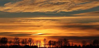 golden and blue Sunset Sky above bare trees