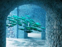 clipart of Underwater Fish Atlantis
