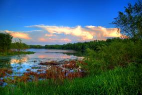 splendid Marsh Clouds