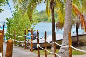 incredible Tropical Paradise Ocean