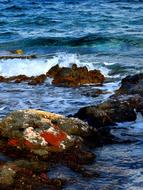 landscape of the magnificent rocky Sea shore