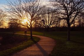 Landscape of park at Sunset