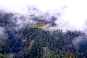 fog over green forest in Himalayas, Nepal
