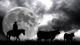 silhouettes of cowboy with cattle in full moon