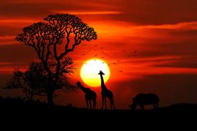 silhouettes of African Animals in savanna at sunset, drawing