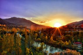 trees near the river at dawn