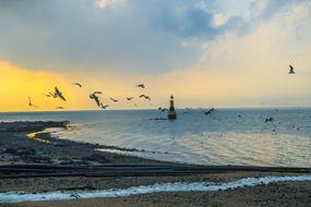 lighthouse and seagulls in the evening