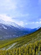 incredibly beautiful Forest Mountains
