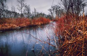 incredibly beautiful River Ice Landscape