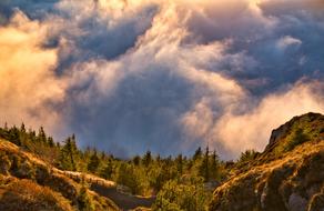 wonderful Cloud Fog
