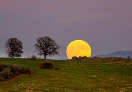 incredible Sun Ball