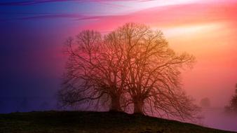 incredible Dawn Landscape Nature