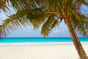 amazing Beautiful beach