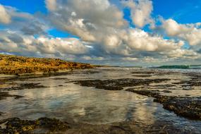 magnificent Rocky Coast Beach