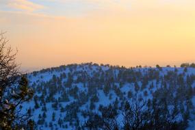 Winter Snowy Horizon