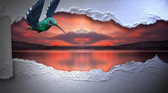 drawn hummingbird on a pink sunset background