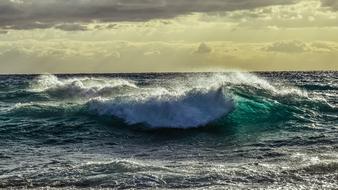 wave with foam and splashes on the sea