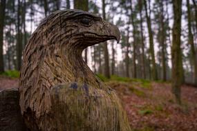 Eagle, wooden Sculpture at forest, uk, Scotland
