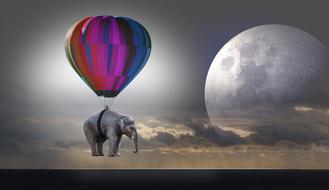 Elephant Weightless on Balloon Hot
