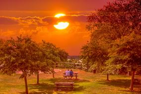 amazing Park Landscape