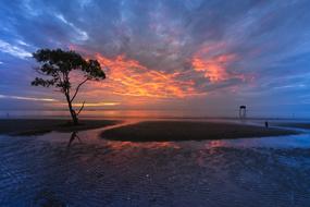 Beautiful landscape of the beach, with the tree, at colorful and beautiful sunset in the sky, with the clouds
