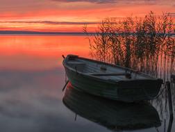empty rowing Boat near reeds at colorful Sunset