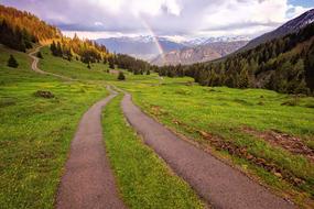 Alpine Panorama