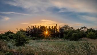 incredible Amager Blue Nature
