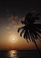 orange twilight over beach beauty