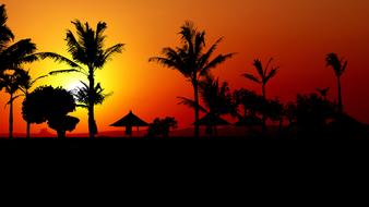 Beautiful landscape of the beach, with the silhouettes of the umbrellas and palm trees, at colorful and beautiful sunset