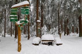 signs on the trail in the winter forest, thuringia, germany