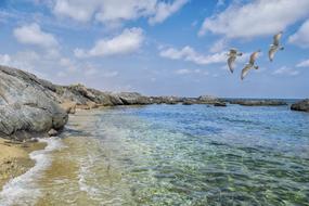 incredible Clouds Seagulls