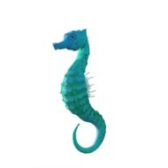 splendid seahorse animal
