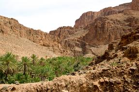 green oasis in the desert in Marocco